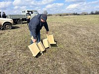 В заказнике «Центральный» разместили сделанные школьниками скворечники
